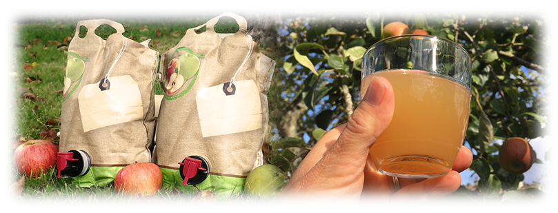 Goulot de bouteille en verre contenant du jus de pommes.