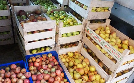 Goulot de bouteille en verre contenant du jus de pommes.