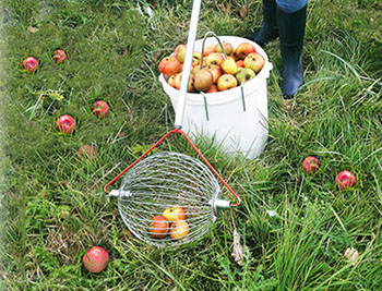 Goulot de bouteille en verre contenant du jus de pommes.